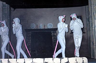 mice